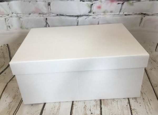 Cake Box - 51 x 46 x 15cm